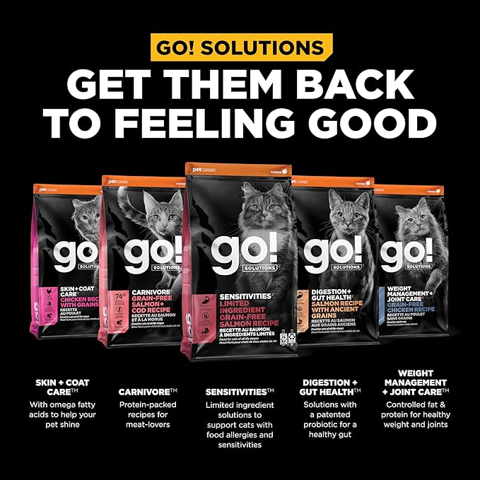 Go! Solutions Sensitivities Limited Ingredient, Grain-Free Dry Cat Food, Salmon Recipe for Sensitive Stomach, 12 lb Bag - PAWPICO