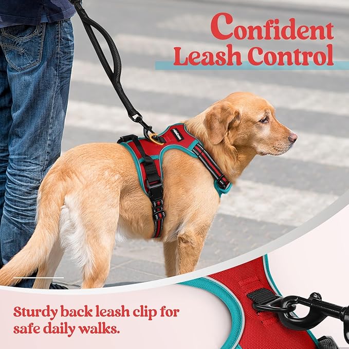 rabbitgoo Dog Harness No Pull with 2 Leash Clips, Adjustable Soft Padded, Reflective Oxford No Choke Pet Vest with Easy Control Handle for Medium Sized Dogs, Red & Teal, M rabbitgoo