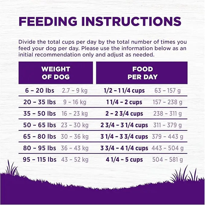 Wellness Complete Health Adult Dry Dog Food, Lamb & Barley Recipe, 26 Pound Bag - PAWPICO