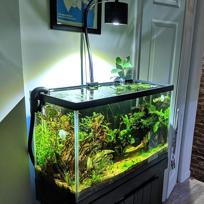 Lominie LED Aquarium Light, Remote Control 80W Planted Fish Tank Light Asta120 Clamp Clip Lamp for Freshwater Refugium Algae Fish Tank with Gooseneck (F120 80W Freshwater) Lominie