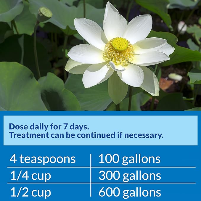 API POND PIMAFIX Antifungal Pond Fish Infection Remedy 64-Ounce Bottle API