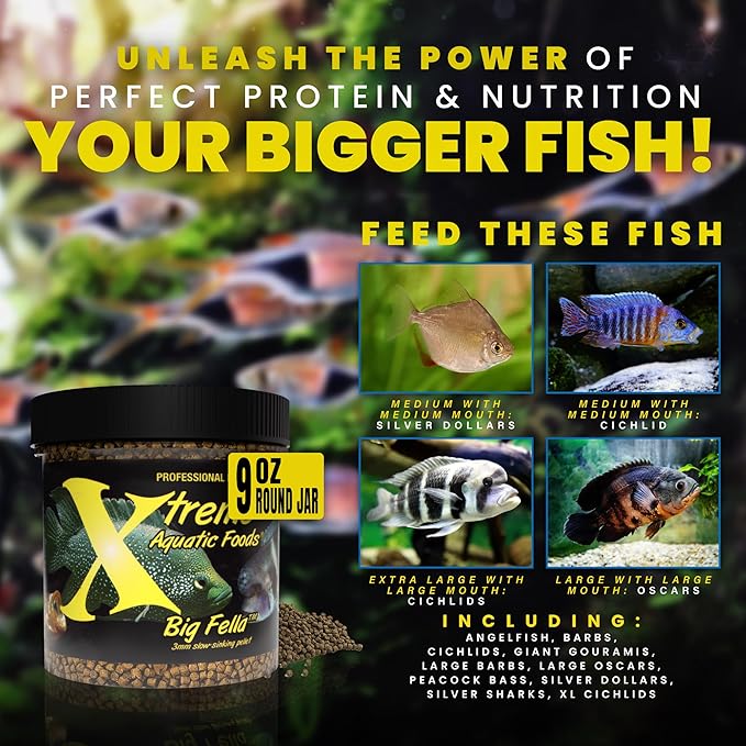 Xtreme Big Fella 3.0mm Pellets: Professional Nutrition for Medium to Large Cichlid/Community Fish - Boost Immune & Digestive Health, Color & Energy, Max Protein Fish Food – USA Farm Grown (9oz) XtremeAquaticFoods