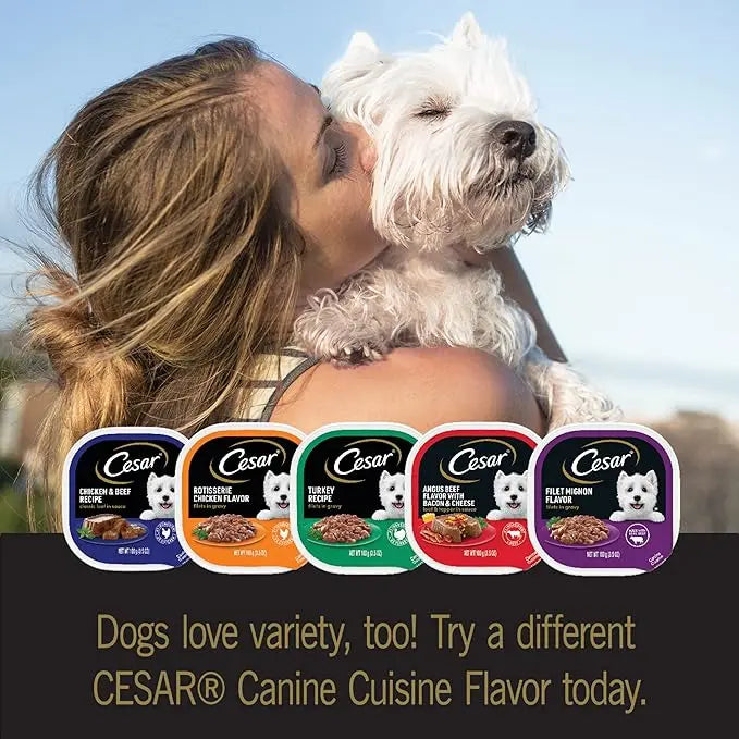 CESAR BACKYARD COOKOUT Adult Wet Dog Food Classic Loaf in Sauce Variety Pack, Grilled Chicken and Porterhouse Steak Flavors, (12) 3.5 oz. Easy Peel Trays - PAWPICO