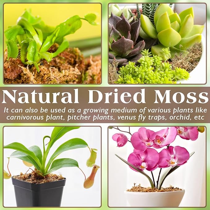 ZeeDix 1.1LBS Sphagnum Moss for Reptiles, 25QT Premium Dried Moss for Terrarium Long Fibered Leopard Gecko Moss Natural Sphagnum Peat Moss Bedding for Frogs Anoles Snake Turtle Plants ZeeDix