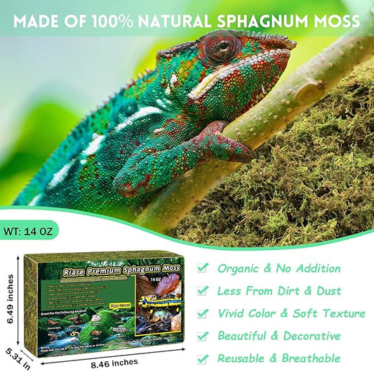 Riare 14 OZ Premium Sphagnum Moss for Reptiles- 20QT Natural Live Moss Reptile Moss Bedding for Terrarium, Hatching, Forest Sphagnum Moss Reptile Substrate for Snakes, Gecko, Turtles, Frogs, Leopard Riare