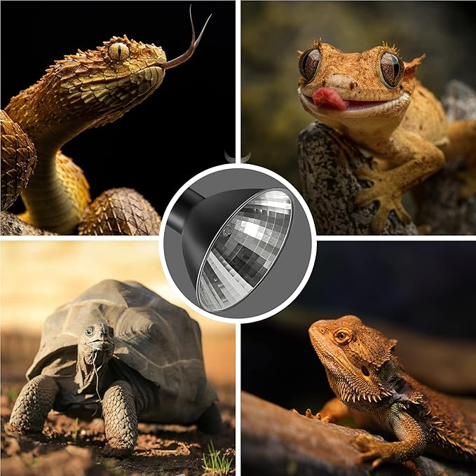 Briignite Reptile Heat Lamp Red, Reptile Night Lamp 50W, G9 Heat Bulb & Dome Reptile Light Fixture, Aluminum Reflector, Dimmable Heat Lamp for Chicken Turtle Snake Gecko Lizard, 1 Pack WelcometoBriigniteenjoyyourshopping