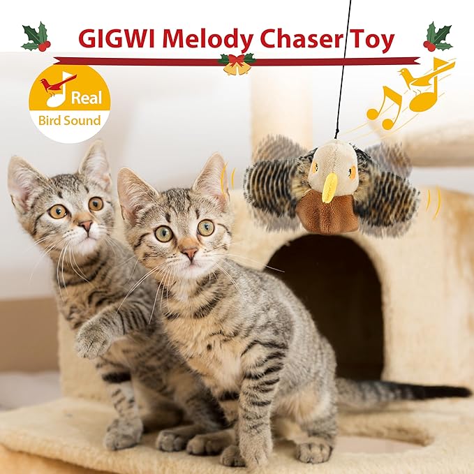 Gigwi Interactive Cat Toys for Indoor Cats, Rechargeable Motion Activated Cat Toy, Automatic Flapping and Chirping Cat Toy with Catnip, Beating Wings Hanging Cat Toy - PAWPICO