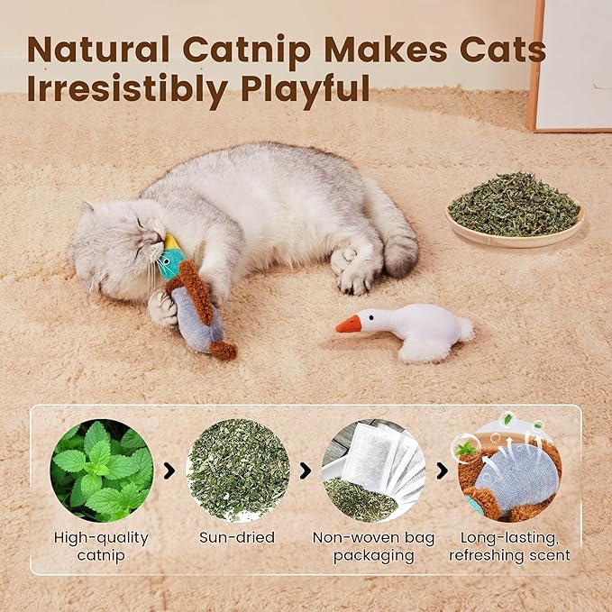 Potaroma Birds Cat Toys, 2 Pack Catnip Toys Soft Durable, Crinkle Sound Kicker Toys for Interactive Indoor Kitten Exercise 6.5 Inches for All Breeds - PAWPICO