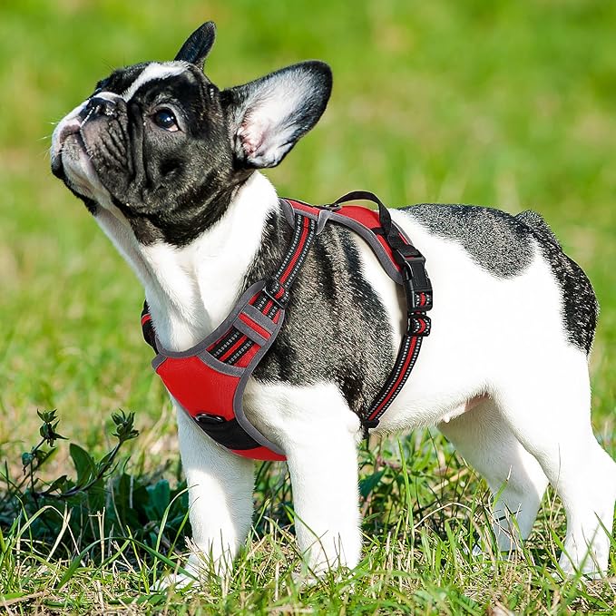 Eagloo Dog Harness Small Sized Dog, No Pull Service Vest with Reflective Strips and Control Handle, Adjustable and Comfortable for Easy Walking, No Choke Pet Harness with 2 Metal Rings, Red, S GoExplorewithEagloo