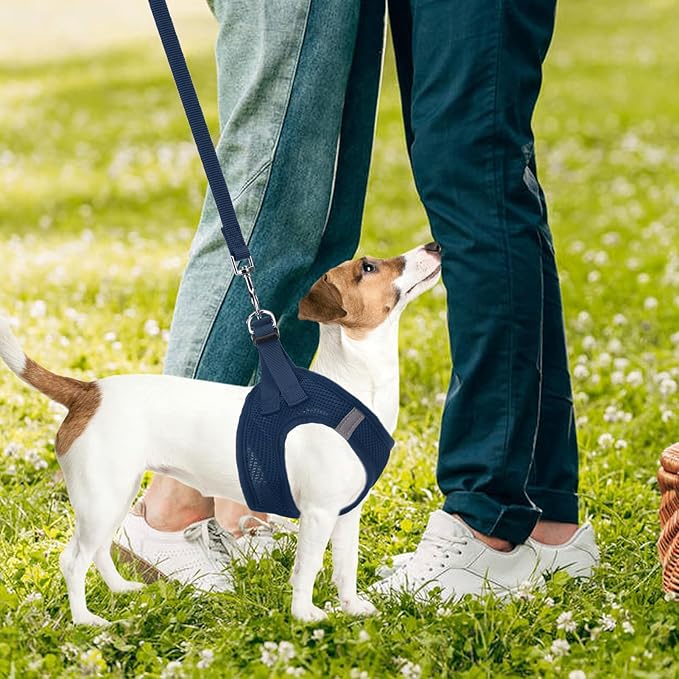 PUPTECK Adjustable Dog Harness Collar and Leash Set Step in No Pull Pet Harness for Small Medium Dogs Puppy and Cats Outdoor Walking Running, Soft Mesh Padded Reflective Vest Harnesses PUPTECK