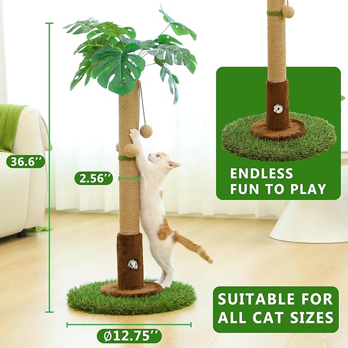 Cat Scratching Post for Indoor Cats and Kitten - 35.43" Tall Cat Scratching Post with Sisal Rope,Palm Tree Cat Scratch Post with Hanging Ball - PAWPICO