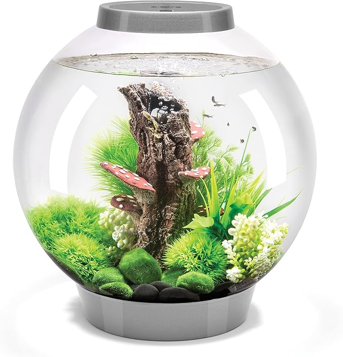 biOrb Classic 30 Acrylic 8-Gallon Aquarium with White LED Lights Modern Tank for Tabletop Display, Silver biOrb