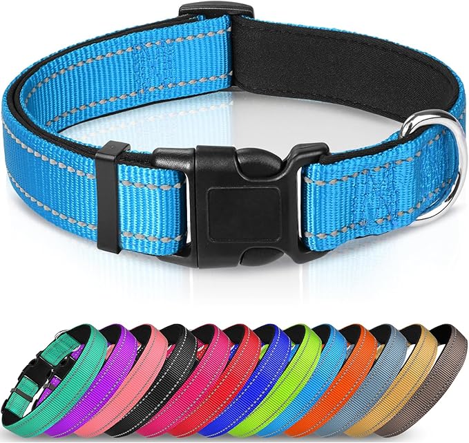 Joytale Reflective Dog Collar,Soft Neoprene Padded Breathable Nylon Pet Collar Adjustable for Small Dogs,Sky Blue,S - PAWPICO