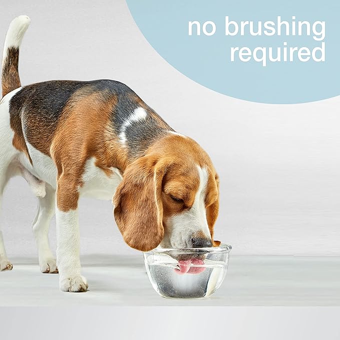 Nylabone Advanced Oral Care Dog Water Additive for Dental Care - Liquid Tartar Remover - Dog Breath Freshener & Teeth-Cleaning Liquid (32 oz.) Nylabone
