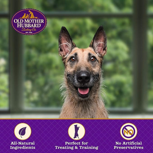 Old Mother Hubbard by Wellness Classic P-Nuttier Natural Dog Treats, Crunchy Oven-Baked Biscuits, Ideal for Training, Large Size, 3.3 pound bag - PAWPICO