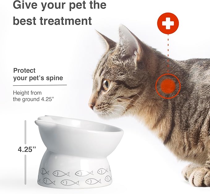 Kaiikai’s Elevated Cat Bowls and Dog Food Bowls 15 oz Ceramic Water Dog Bowls Medium and Small Sized Dog 6 Inch Tilted Cat Water Bowl Raised Cat Food Bowls Dog and Cat Supplies Small Cat Face Bowl - PAWPICO