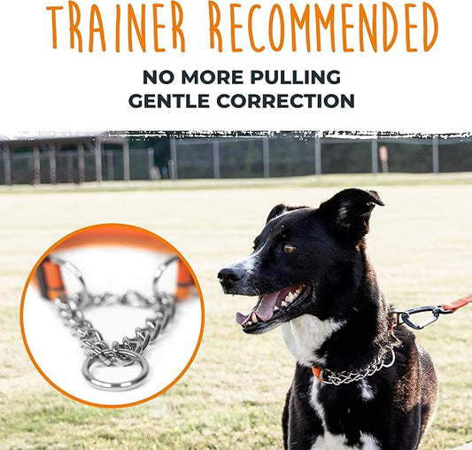 Mighty Paw Martingale Dog Collar 2.0 | Trainer Approved Limited Slip Collar with Stainless Steel Chain & Heavy Duty Buckle - Modified Cinch for Gentle & Effective Pet Training - S/M, Orange MightyPaw