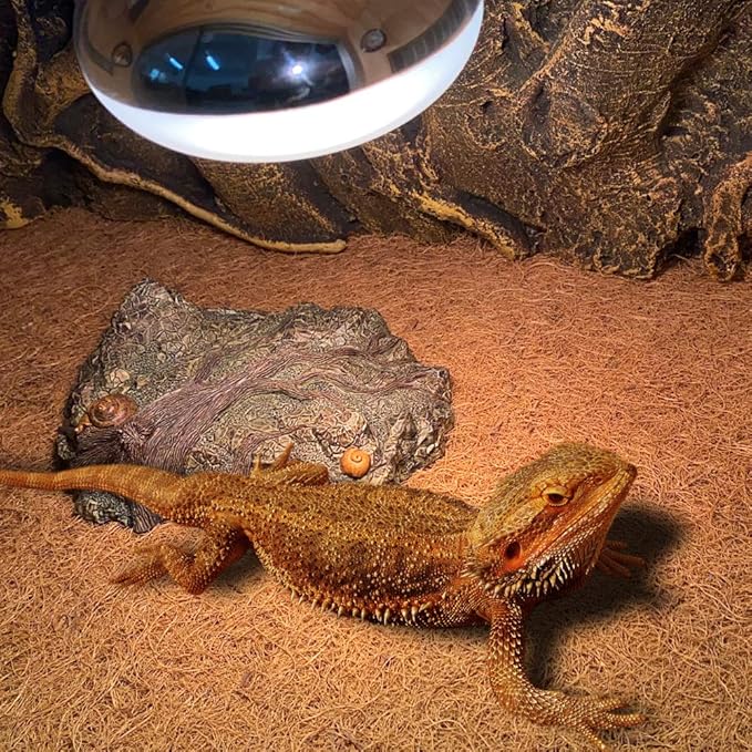 Reptile Carpet Mat, Coconut Fiber Liner,Snake Bedding,Lizard Cage Mat/Substrate for Snakes, Chameleons, Geckos ands Kitchen Use (30"x12"(2pc)) bestchoiceforyourreptiles