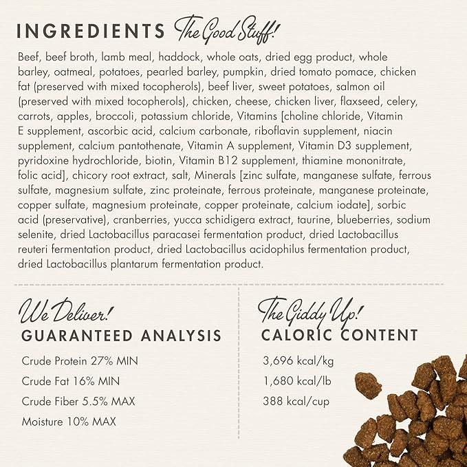 Fromm Four-Star Nutritionals Highlander Beef, Oats, & Barley Dog Food - Premium Dry Dog Food - Beef Recipe - 4 lb - PAWPICO