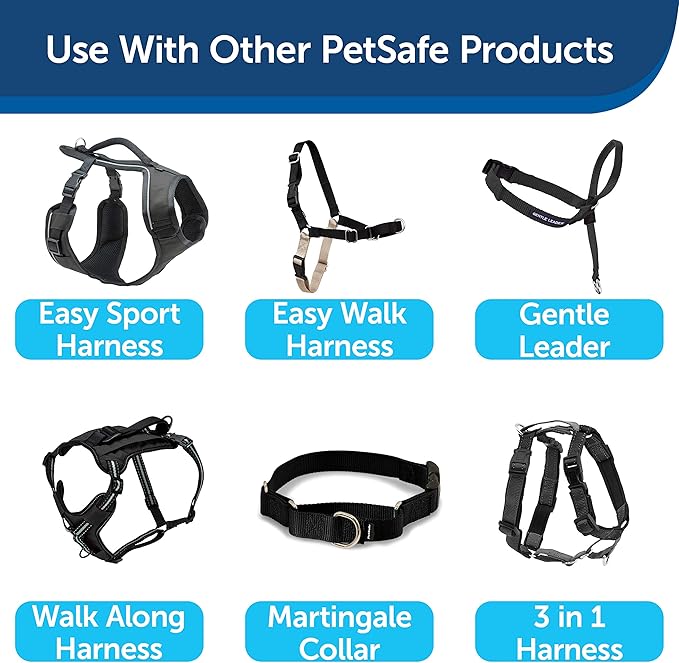 PetSafe Nylon Dog Leash – Strong, Durable, Traditional Style Leash with Easy to Use Bolt Snap – 1" x 4', Black - PAWPICO