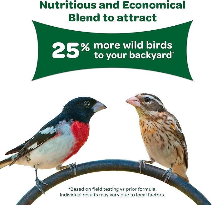 Kaytee Wild Bird Basic Seed, 20lbs (2 Packs of 10lbs) Kaytee