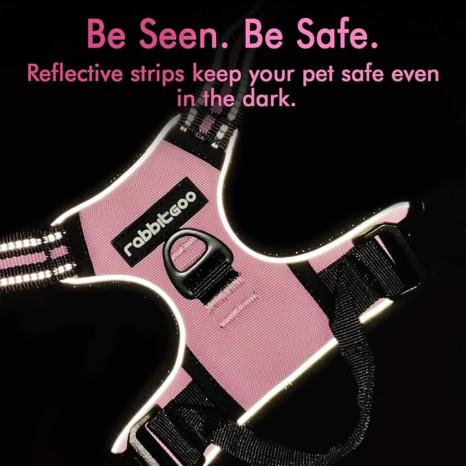rabbitgoo Dog Harness, No-Pull Pet Harness with 2 Leash Clips, Adjustable Soft Padded Dog Vest, Reflective No-Choke Pet Oxford Vest with Easy Control Handle for Small Dogs, Pink, S - PAWPICO