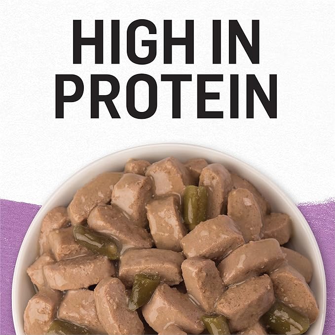 Beyond Purina Grain Free Gravy Wet Dog Food, Grain Free Turkey & Green Bean Recipe in Gravy - (12) 12.5 oz. Cans (Pack of 2) - PAWPICO