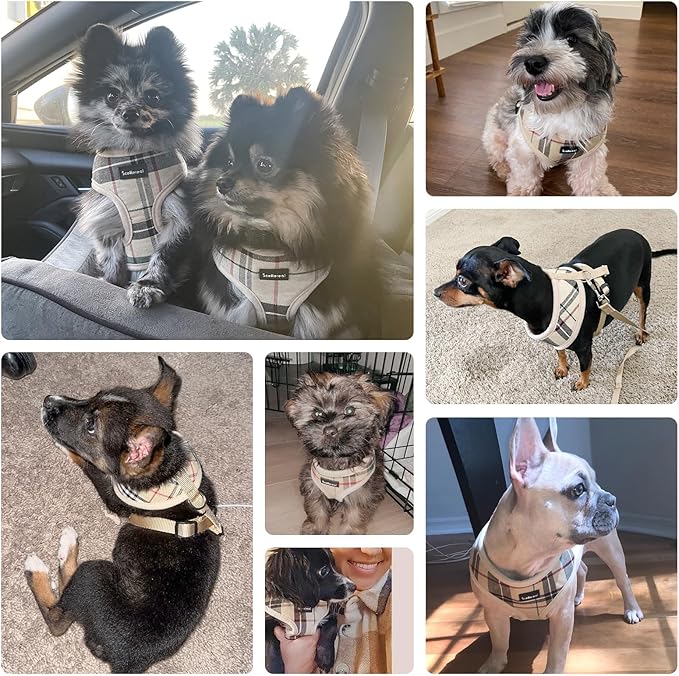SCENEREAL Puppy Dog Harness with Leash Set for Small Medium Sized Dogs, Soft Mesh Step in Pet Harnesses and Leash, No Chock Plaid Adjustible No Pull Vest for Dogs Cats, Chihuahua,Bulldog (Blue XS) SCENEREAL