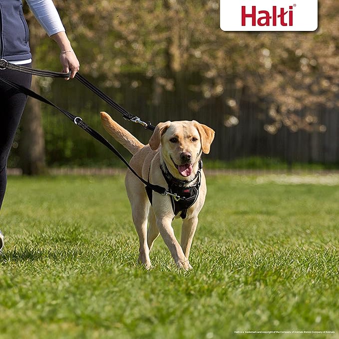 HALTI Training Leash - Multifunctional Double-Ended Dog Leash, Ideal for Anti-Pulling Dog Training. Easy to Use, Lightweight & Durable. Suitable for Medium to Large Dogs & Puppies (Size Large, Black) CompanyofAnimals