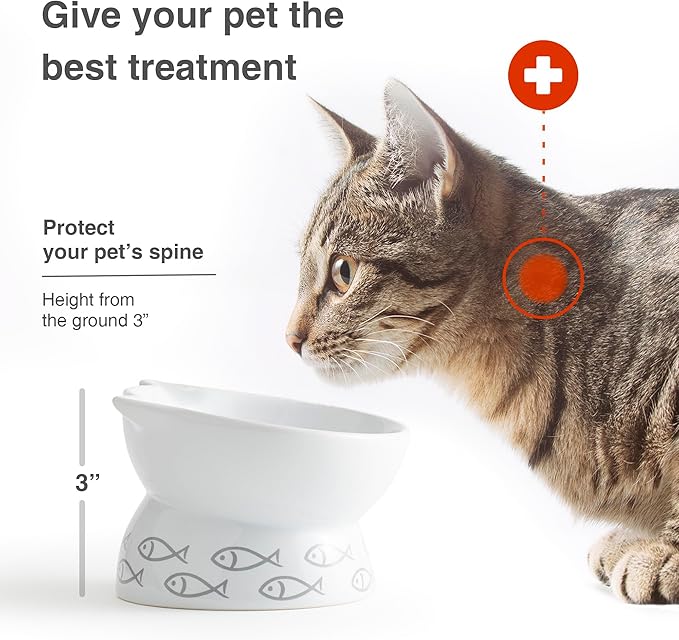 Kaiikai’s Elevated Cat Bowls and Dog Food Bowls 13 oz Ceramic Water Dog Bowls Medium and Small Sized Dog 5 Inch Tilted Cat Water Bowl Raised Cat Food Bowls Dog and Cat Supplies Small Cat Face Bowl - PAWPICO