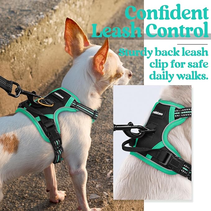 rabbitgoo Dog Harness, No-Pull Pet Harness with 2 Leash Clips, Adjustable Soft Padded Dog Vest, Reflective No-Choke Pet Oxford Vest with Easy Control Handle for Large Dogs, Black & Turquoise, X-Small - PAWPICO