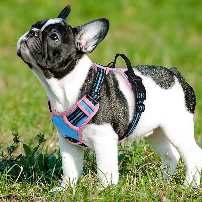 Eagloo Dog Harness for Large Dogs, No Pull Service Vest with Reflective Strips and Control Handle, Adjustable and Comfortable for Easy Walking, No Choke Harness with 2 Metal Rings, Pink & Blue, S GoExplorewithEagloo
