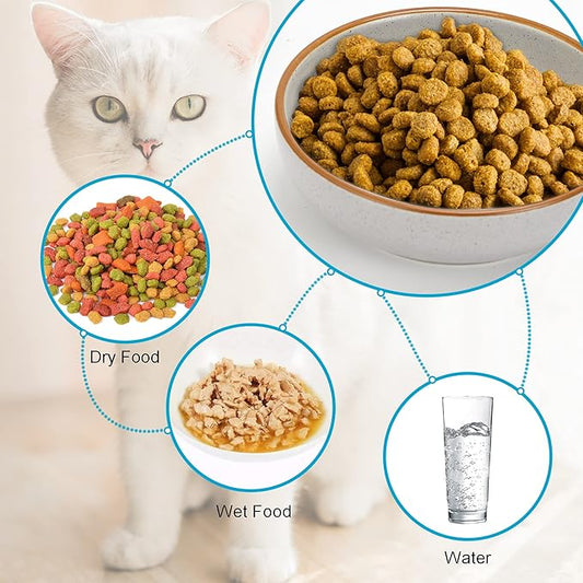 Ceramic Cat Bowls, Howise Cat Food Dish Gray, 5.3 in Shallow Pet Bowl 3 Pack Bowl Set for Kitten Cat Food Bowl and Water Bowl Small Dog Dish - PAWPICO