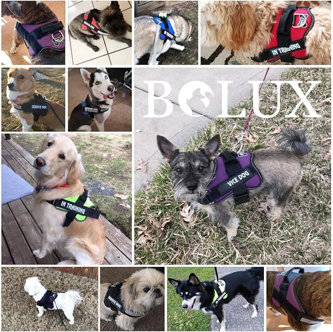 Bolux Dog Harness, No-Pull Reflective Dog Vest, Breathable Adjustable Pet Harness with Handle for Outdoor Walking - No More Pulling, Tugging or Choking (Army Yellow, XS) Bolux