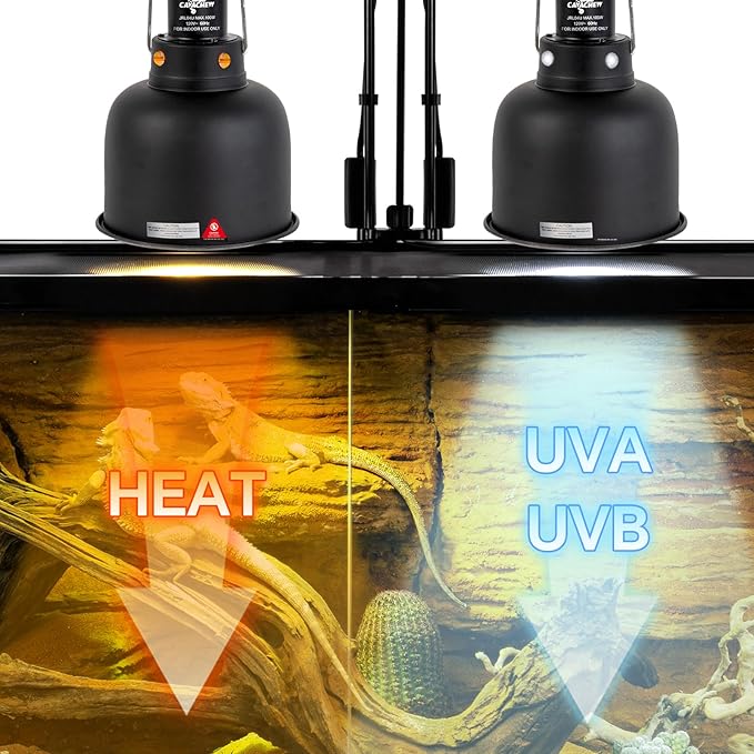 2 Pack Reptile Light Fixture, 5.5in Deep Dome Reptile Lamp Fixture, Optical Reflection Cover, Separate Switche & Hook, Terrarium Light Fixture for Reptile Heat Basking UVB Bulbs, 100W, Black CAVACHEWReptileSupplies