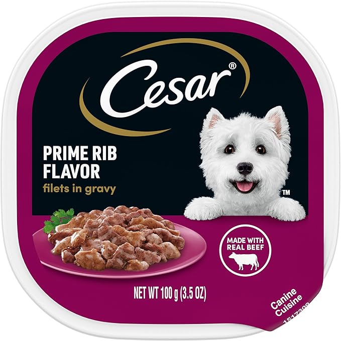 CESAR Adult Wet Dog Food Filets in Gravy Prime Rib Flavor, 3.5 oz. Easy Peel Trays, Pack of 24 - PAWPICO