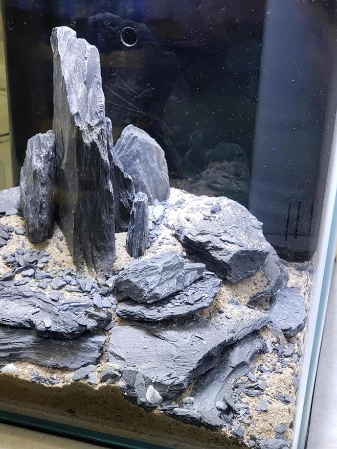 Natural Slate Stones 8 to 10 Inches - USA Sourced and Packaged for Aquascaping Aquariums, Terrariums, Paludariums, Reptile Enclosures, and Gardens (8-9 lbs) SmallWorldSlateandStone