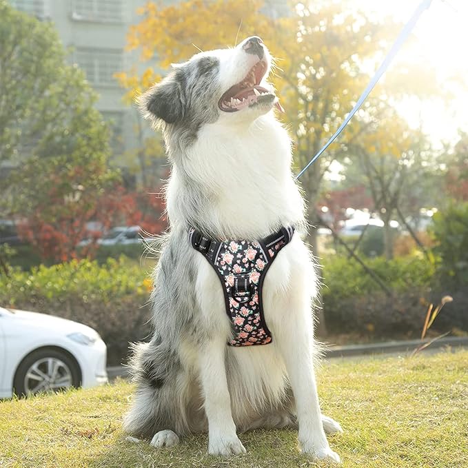 Timos No Pull Dog Harness,NO Need Go Over Dogs Head 3 Snap Buckles Reflective Oxford No Choke Harness with Front&Back 2 Metal Leash Clips Soft Padded for Small Medium Large Dogs,X-Large (Pack of 1) Timos