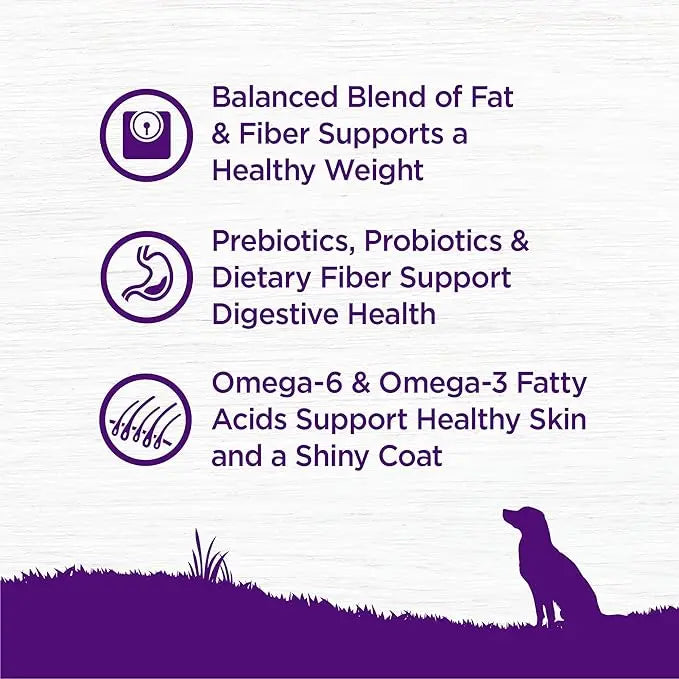 Wellness Complete Health Dry Dog Food, Healthy Weight Deboned Chicken & Peas Recipe, 24 Pound Bag - PAWPICO