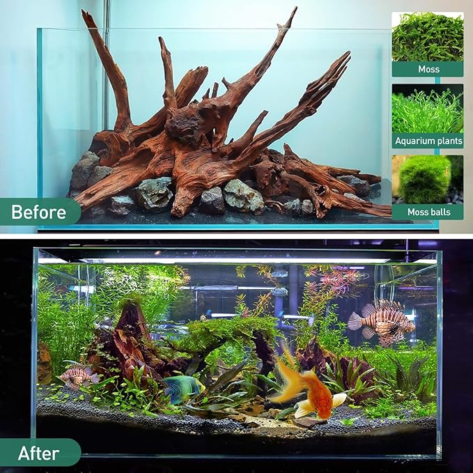 WDEFUN Natural Extral Large Driftwood for Aquarium Decor, 2-Piece 14''-18'' Driftwood for Decorations on Fish Tank, Reptiles Bearded Dragon Accessories or Air Plants WDEFUN