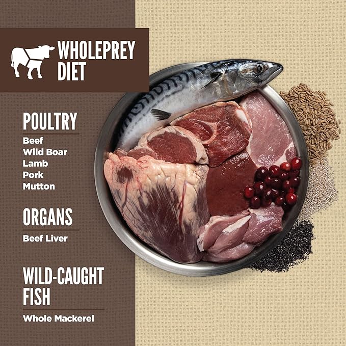 ORIJEN Amazing Grains Regional RED Dry Dog Food, High Protein Dog Food for All Life Stages, Fresh or Raw Ingredients, 4lb - PAWPICO