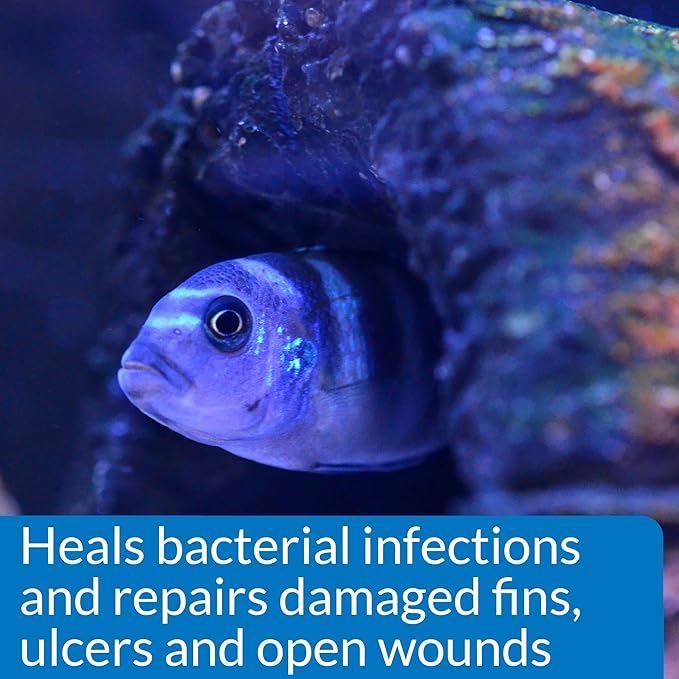 API MELAFIX Freshwater Fish Bacterial Infection Remedy 4-Ounce Bottle API