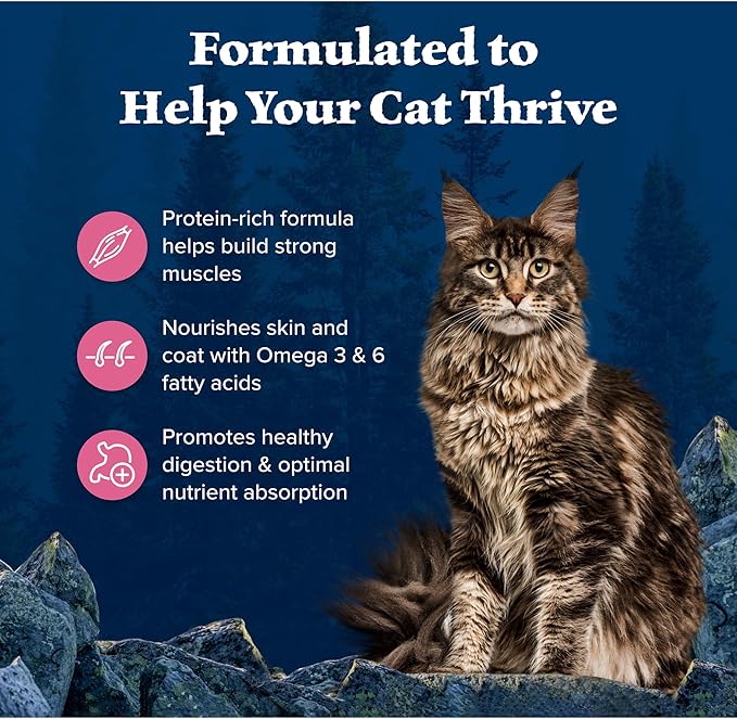 Blue Buffalo Wilderness Natural High Protein Grain Free Salmon Dry Food for Adult Cats 11 lbs. - PAWPICO