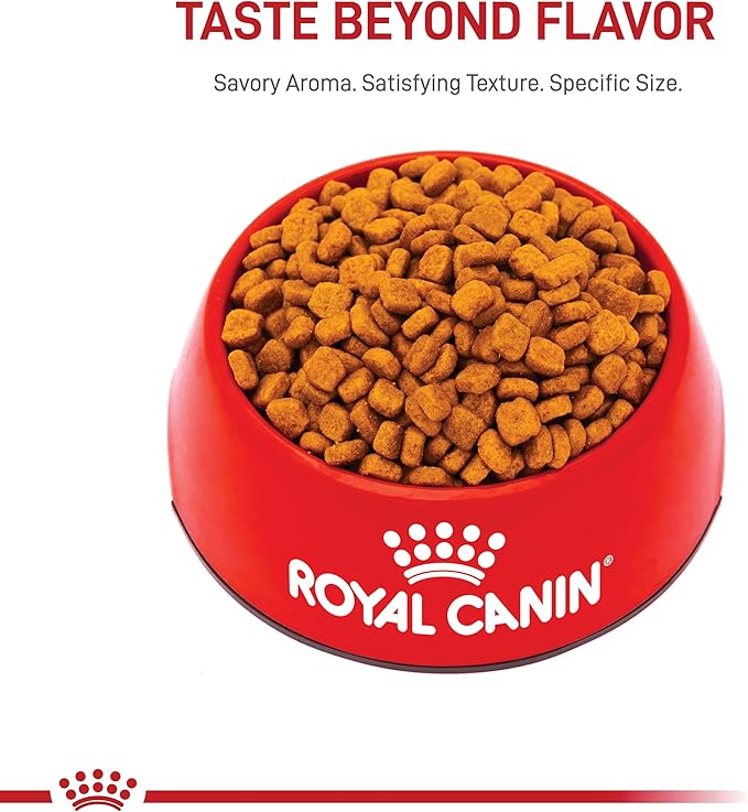 Royal Canin Poodle Adult Breed Specific Dry Dog Food, 2.5 lb bag - PAWPICO