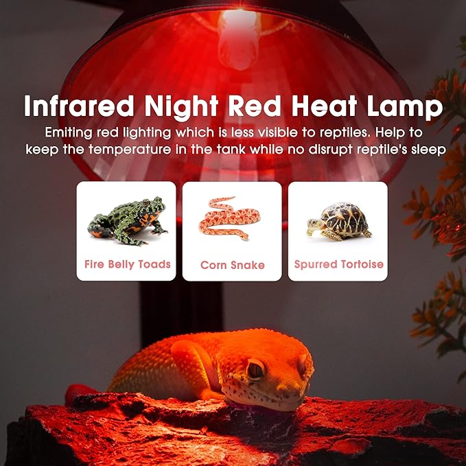 Briignite G9 Infrared Heat Lamp Bulbs for Reptile, Mini Reptile Light, Dimmable Night Red UVA Reptile Heat Lamp, 2 Pin Base Mini Heat Bulbs 50W, Bearded Dragon Turtle Lizard, 6 Pack WelcometoBriigniteenjoyyourshopping