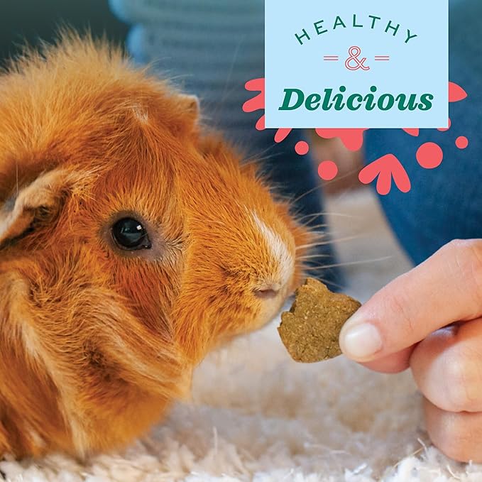 Oxbow Simple Rewards Baked Treats with Carrot, Dill, and Hay for Rabbits, Guinea Pigs, Chinchillas, and Small Pets, 3 Ounce (Pack of 1) OxbowAnimalHealth