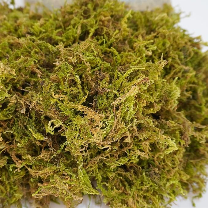 15oz Pure Natural Reptile Moss for Humidity, Great for Snakes, Turtle and Other Reptiles, Good for Terrariums for Reptiles & Amphibians Begeterday