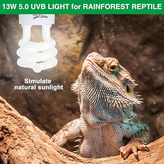 UVB Bulb for Reptiles, 5.0 13W UVA UVB Light Reptile Light Bulb, UVB Light for Rainforest Reptiles, Reptile Light Bulb for Crowned Chameleon, Green Lguana, Tree Frog, Ball Python PAWPICO