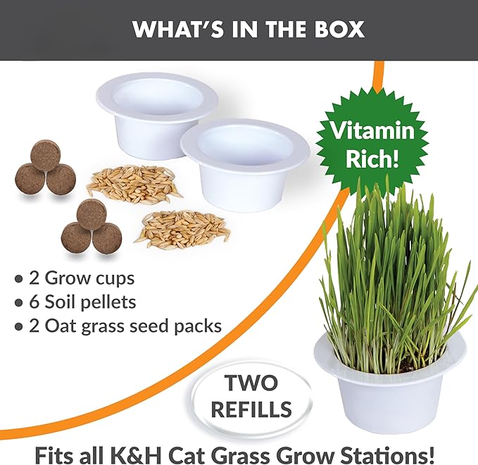 K&H Pet Products Cat Grass Grow Station Growing Cup Refills for K&H EZ Mount Products - Healthy Home Grown Grass Cat Toys for Bored Indoor Adult Cats, Farmed in USA, Non-GMO - Refill ONLY - 2 Pack KHPetProducts