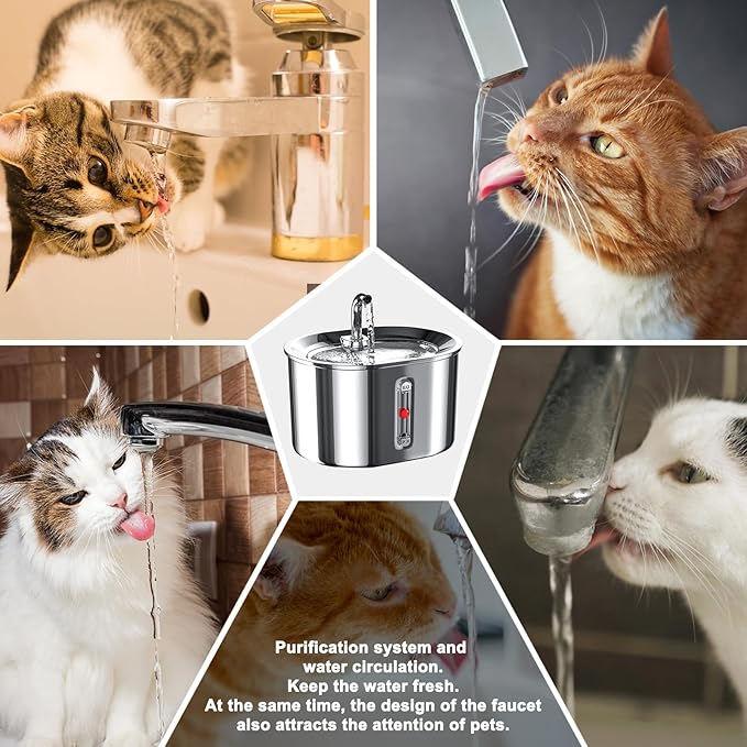 Joric Cat Water Fountain Stainless Steel, 2.5L/85oz Automatic Cat Water Dispenser with Water Level,Water Fountains for Cats Indoor,Super Silent Suitable for Multiple Pets, 2 Pack Filter Replacement - PAWPICO